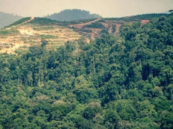 Satgas PKH Kuasai Kembali 1.699 Hektare Lahan Tambang PT AKT di Murung Raya