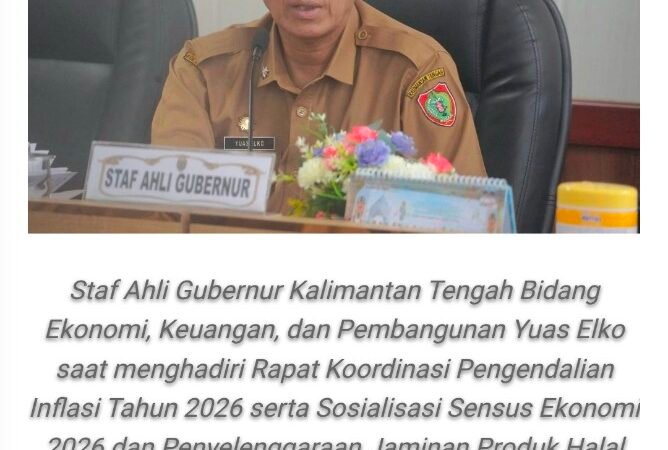 Pemprov Kalteng Perkuat Sinergi Pengendalian Inflasi Melalui Rakor Bersama Kemendagri 